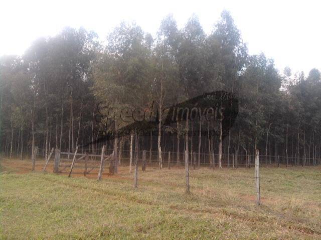 #1407 - Sítio para Venda em Pedranópolis - SP - 3